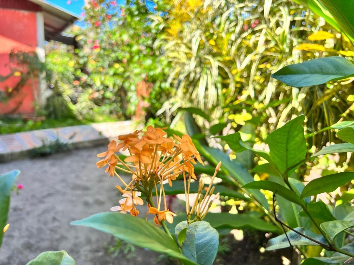 Natural Experience House Тортугеро Экстерьер фото