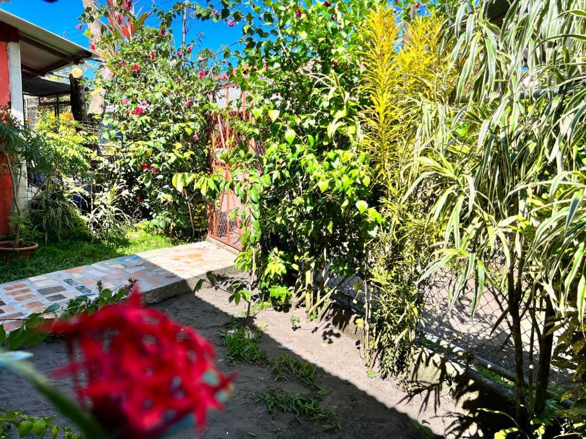 Natural Experience House Тортугеро Экстерьер фото